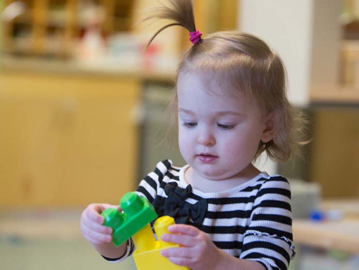 toddler girl persistently building with blocks