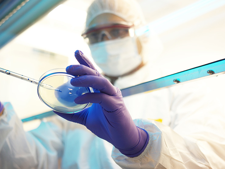 A scientist inspecting a sample